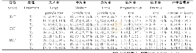 《表3 不同等级烟叶处理后的片烟结构》