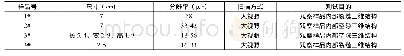 表3 新场典型裂隙岩芯CT扫描样品