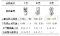 表1 典型拼合构件截面参数统计