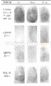 《表2 透明胶带不同显现试剂实验效果图》
