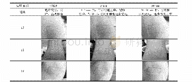 表5 积雪草脂质体进行舒敏测试Tab.5 The test of efficacy about with the Centella asiatica liposomes