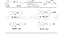 《表2 苯并噻吩与芳基溴化物在空气条件下的直接芳基化反应[a]》