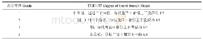 表3 侧枝粗细分级表：广东郁南51年生灰木莲生长研究