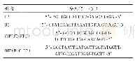 表1 HP-H7N9 RT-LAMP引物序列