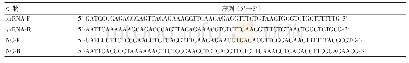 《表1 HIF-1αshRNA及阴性对照 (HIF-1αNC) 序列信息》