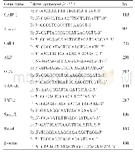 表1 基因名称和引物序列