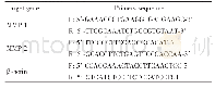 表1 q RT-PCR反应中引物序列