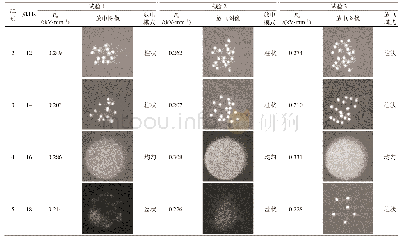 《表3 2 mm气隙电流峰值时刻电极底面放电图像》