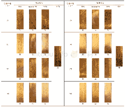 表2 铜片表面腐蚀程度：钝化剂对变压器油中多重硫化物的防护效果及油品质量的影响