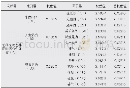 《表2 准则层与因子层各指标权重》