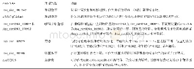 《表1 在人类肿瘤中作为诊断和预后标志物的circ RNAs数据集[20]》