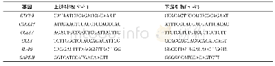 《表1 Q-PCR引物序列》