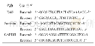 表1 RT-PCR的引物序列
