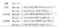 《表1 RT-PCR的引物序列》