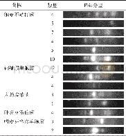 《表4 ERIC-PCR分型结果》
