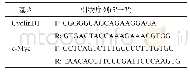 《表1 引物序列及产物大小》