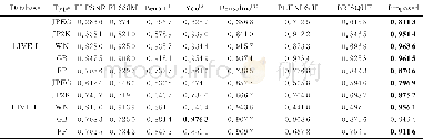 《表3 不同失真类型的PLCC值Tab.3 PLCCresults for different distortion types》