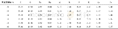 《表5 黑液型煤燃烧前煤粉的元素组成》