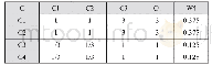 《表5 二级指标C1-C4对一级指标 (C) 的判断矩阵以及向量W4如下》
