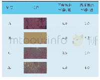 《表2 摩擦色牢度测试结果》