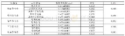 表3 一级、二级指标权重及一致性检验