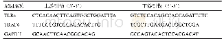 《表1 Real-Time PCR引物序列》