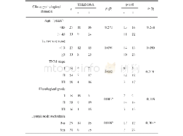 表1 TMEM16A和p-p38表达与乳腺癌临床病理特征的关系