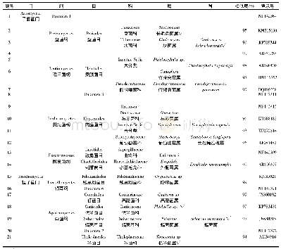 《表2 雪岭云杉森林菌根真菌鉴定结果》