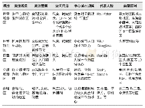 表1 与巨型城市区相关的概念比较