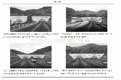 《表3 杭州绕城西复线杭绍段高速公路隧道洞口景观设计方案》