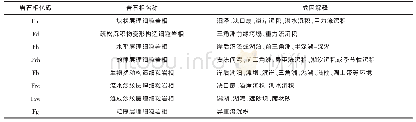 表3 细粒岩相类型划分