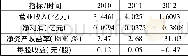 《表1 新疆天宏2010-2012主要会计数据与财务指标》