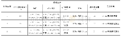 《表2 隧道洞口段支护参数》