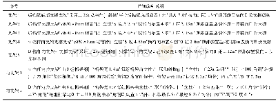 表1 支架设置详细说明表