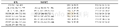 表5 转换后的竖曲线参数格式