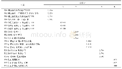 表2 各研究变量因子负荷