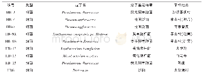 《表2 菌种鉴定结果：陇南成县常见核桃细菌性病害主要病原的鉴定》