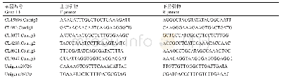 表1 8个基因的启动子PCR扩增引物