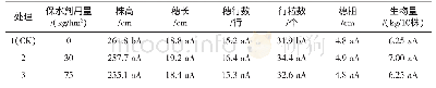 《表1 保水剂用量对玉米农艺性状的影响 (1)》