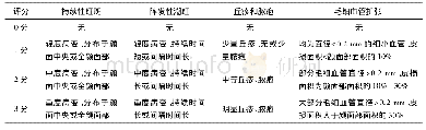 表1 主要症状评分标准：逍遥散加减方联合三黄洗剂治疗肝郁血热型酒渣鼻30例临床观察