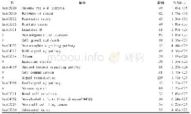 表4 P值居前20位的二根龙蛭汤治疗PSCI关键靶标参与的通路信息