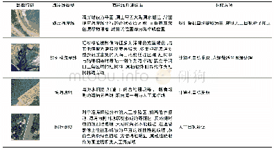 《表2 海岸线解译标志及判读标准Tab.2 Interpretation key and standard of coastline》