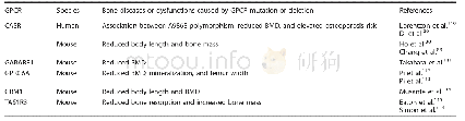 Table 1.Bone diseases or dysfunctions caused by glutamate GPCR mutation or deletion