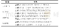 《表1 引物序列：胃癌患者病灶组织中UHRF-1、KIF2A及HIF-1α的表达与临床病理特征的关系》
