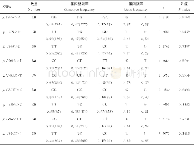《表4 秦川肉牛PLIN2基因型频率和基因频率Table 4 Genotype frequency and gene frequency of PLIN2gene in Qinchuan cattle