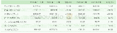 表2 2020年2月和2020年1月医疗收入指标变化