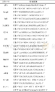 表1 实时荧光定量PCR的引物序列Tab.1 The primer sequence for the quantitative real-time PCR
