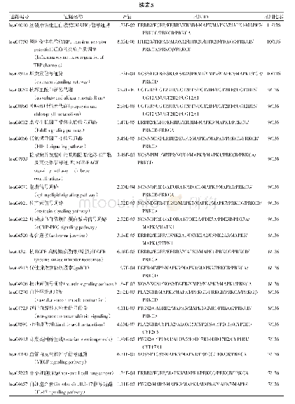 《表5 京都基因与基因组百科全书（KEGG）通路富集分析》