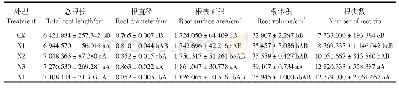 表2 不同处理对桢楠幼苗根系生长的影响