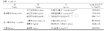 表1 系统发育分析中线粒体基因组的分类信息